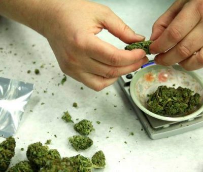 Legalizar la marihuana no acabará con la inseguridad: Erandi Bermúdez