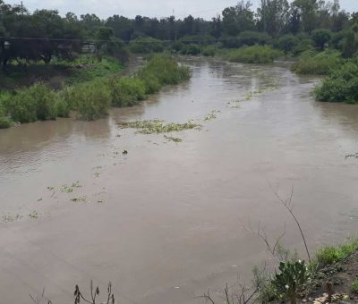“Bordearán” río laja para evitar inundaciones