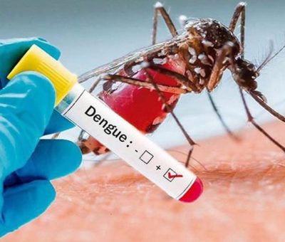 2019 es el año con más casos de dengue en los últimos 7 años, 16 mil a nivel nacional y 56 en el Estado