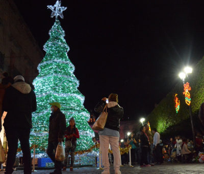 Municipio gasta 380 mil pesos en compra de dos árboles navideños
