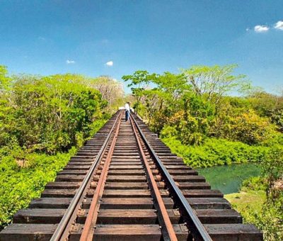 Fornatur afirma que en abril empezará la construcción del Tren Maya