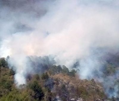 Habitantes de la Sierra Gorda afectados por incendio del año pasado, sin ayuda