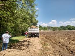 Se rehabilitarán 52 kilómetros de caminos rurales en Cortazar.