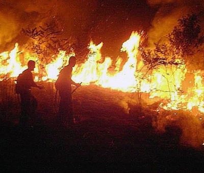 Incendio de residuos orgánicos de maíz en comunidad de Juan Martín ocasiona presencia de ceniza en Celaya