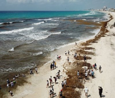Playas de México están limpias de sargazo, afirma AMLO