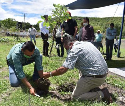 Dirección de Ecología lleva más de 4 mil árboles plantados en Apaseo el Grande