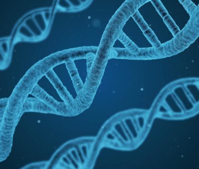 Por primera vez científicos obtuvieron la secuencia de un cromosoma humano
