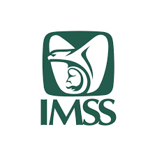 Directora de Incorporación y Recaudación del IMSS pide asegurar que los datos registrados en el Instituto sean correctos