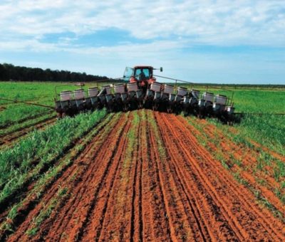 Senador Erandi Bermúdez lamenta la desventaja del sector agropecuario en México frente al extranjero