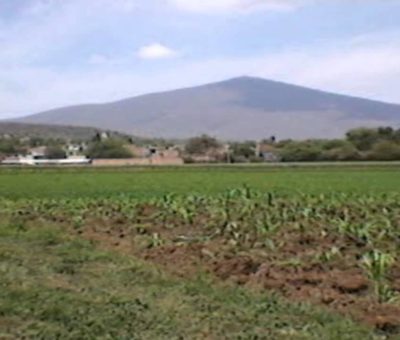 Abren convocatoria para ser guardabosques en el Cerro de Culiacán y La Gavia