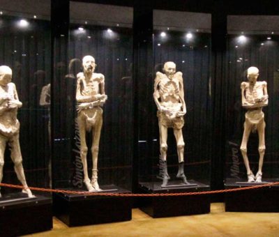 Museo de las Momias de Guanajuato recibe distintivos «Guanajuato Sano» y «Safe Travels»