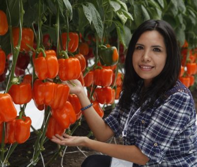 Crece exponencialmente la exportación de agroalimentos de Guanajuato