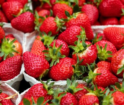 Con protocolos sanitarios se realizaría Feria de las fresas 2021