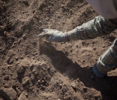 Encuentran 59 restos humanos en fosas clandestinas en Salvatierra