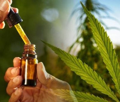 Quita Senado uso medicinal de cannabis previo a discusión en el Pleno