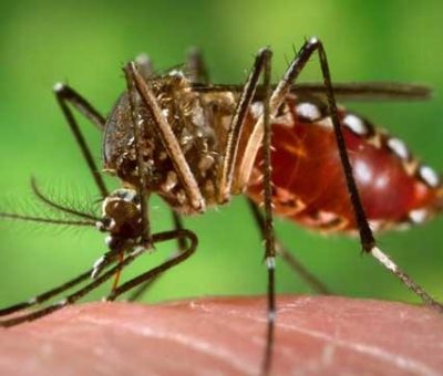 Detectan tres casos de dengue tipo 3 en Guanajuato