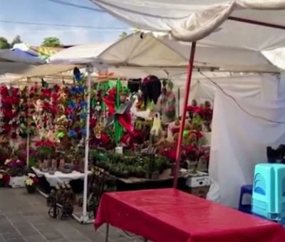 Comerciantes de productos navideños se colocan en predio particular, pese a negativa de Expo Navideña en Celaya