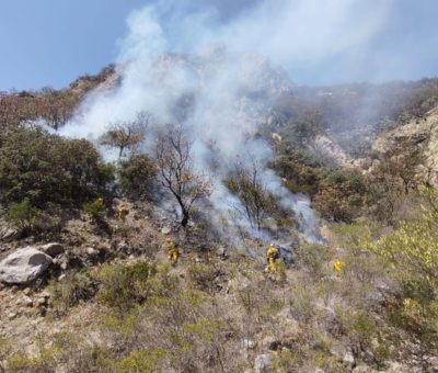 Extinguen en su totalidad incendio forestal en el Cerro del Fraile en Guanajuato capital