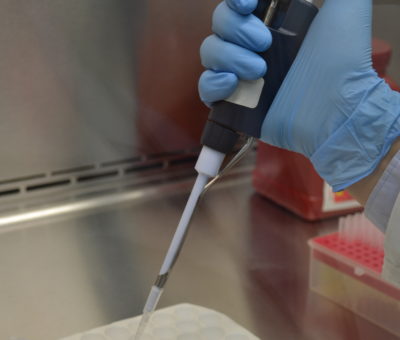 El Laboratorio Estatal de Salud Pública apuntala la capacidad analítica en el procesamiento de muestras