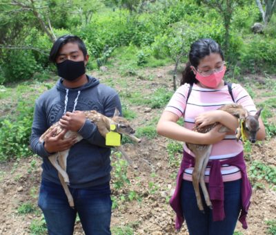 Estudiantes visitan área natural protegida de la Sierra Gorda de Guanajuato