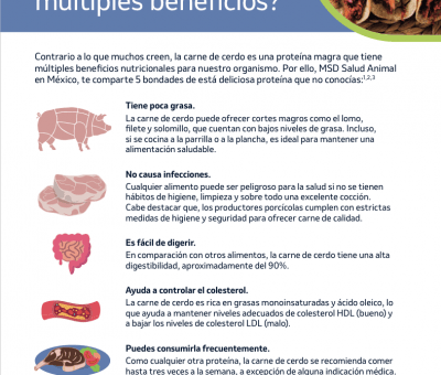 5 beneficios sobre la carne de cerdo que debes conocer
