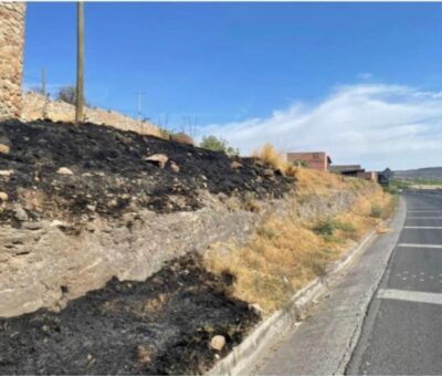 Descartan incendio que afecte al Viñedo San Miguel