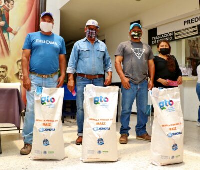 Apoyarán con semilla a productores de temporal en Cortazar