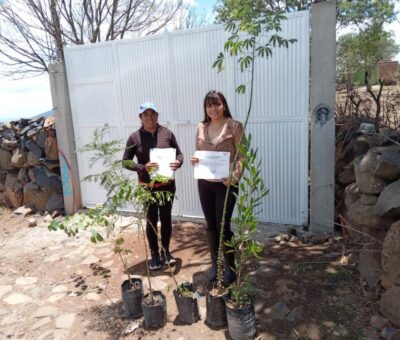 Conmemoran Día Mundial del Árbol con donación para comunidades en Cortazar