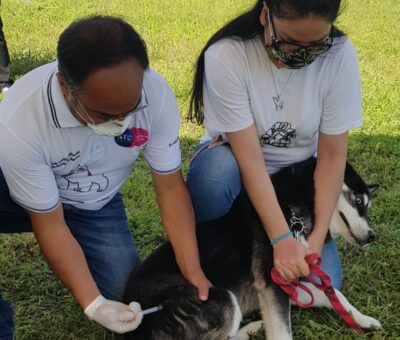 El Sistema de Salud de Guanajuato prepara la Jornada de Vacunación Antirrábica Canina 2022