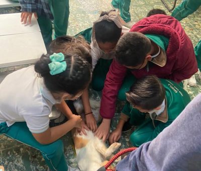 Concientizan a niños y niñas en temas de maltrato animal