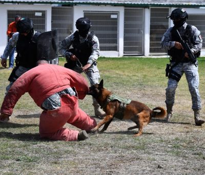 Entregan equipo táctico a Grupo Especial Lobo