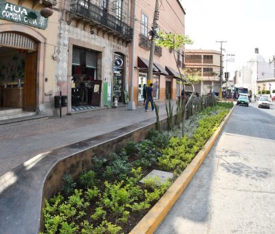 Mejoran imagen urbana y arbolado en calles de Irapuato