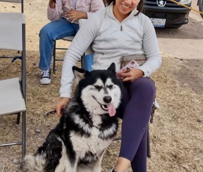 Arrancan campaña de esterilización canina y felina en Cortazar