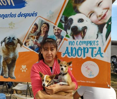 En Cortazar se han realizado más de mil 500 esterilizaciones