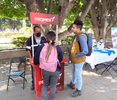 Realizan en Salvatierra feria del empleo violeta