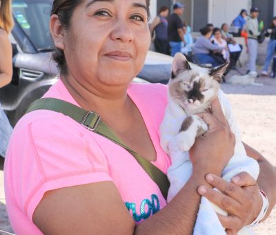 Arranca semana de esterilizaciones gratuitas en Cortazar