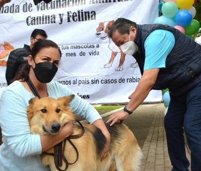 SSG anuncia la “Jornada Intensiva de Vacunación Antirrábica Canina y Felina” del 23 al 29 de abril