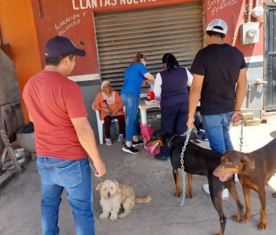 SSG alista vacunación antirrábica en la capital de Guanajuato
