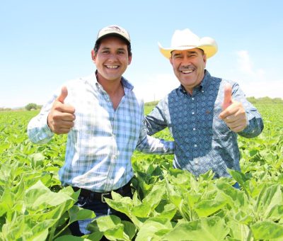 Impulsa SDAyR producción de flor de girasol en León