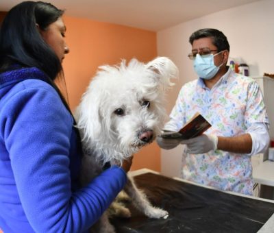 Invitan a vacunar a mascotas contra la rabia