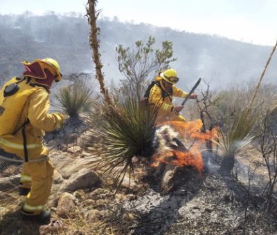 Combaten autoridades estatales, federales y municipales, un incendio forestal que se registra en la Sierra de Los Codornices