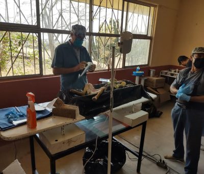 Llevan servicio de esterilizaciones de mascotas a Ojo de Agua de Huanumo