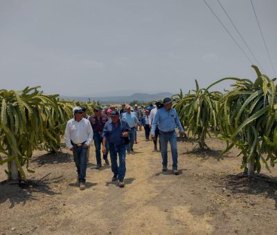 Capacitaciones en cultivos alternativos