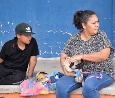 Nueva jornada de esterilizaciones de mascotas en Abasolo