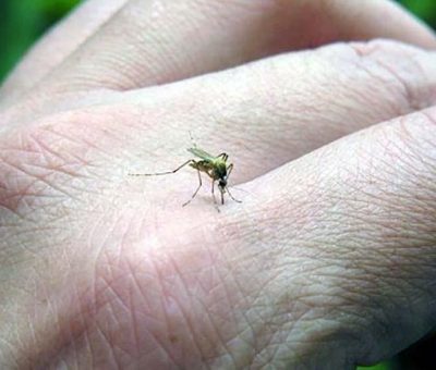 El Sistema de Salud Gto protege a más de un millón de habitantes con actividades de nebulización contra el dengue