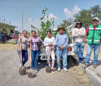 Dirección de Ecología realiza arborización en Colonia El Centenario