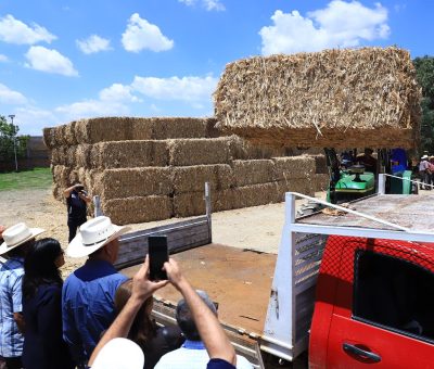 Entrega SDAyR pacas de rastrojo a ganaderos de Juventino Rosas