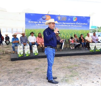 Entrega SDAyR semilla de maíz y Seguro Catastrófico en Jerécuaro