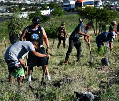 Participan jóvenes irapuatenses en reforestación