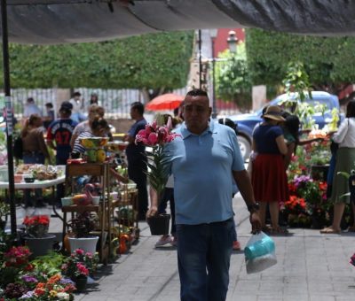 Silao celebra el Día Nacional del Árbol